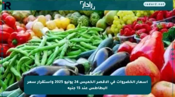 أسعار الخضروات في الأقصر الخميس 24 يوليو 2025 واستقرار سعر البطاطس عند 15 جنيه